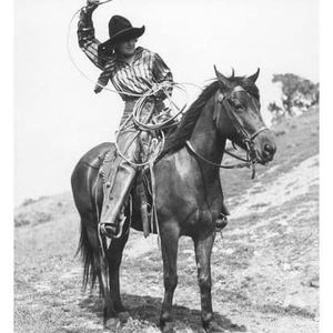 Meet your Posher, Barb